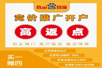 百度企业级服务推广的全面解决方案